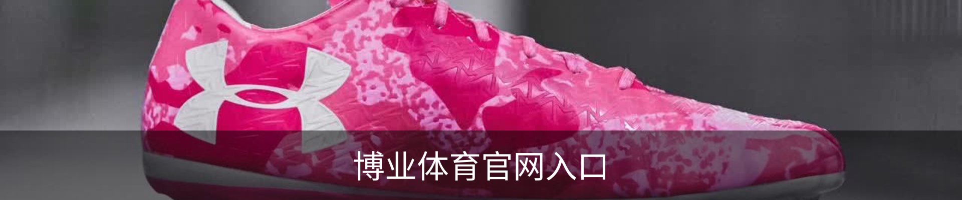 博业体育官网入口